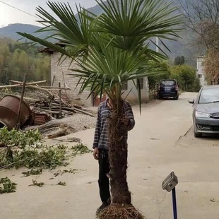 �ؙ����������Ե���ͥԺ���Ә����˿������ļ�������;G������