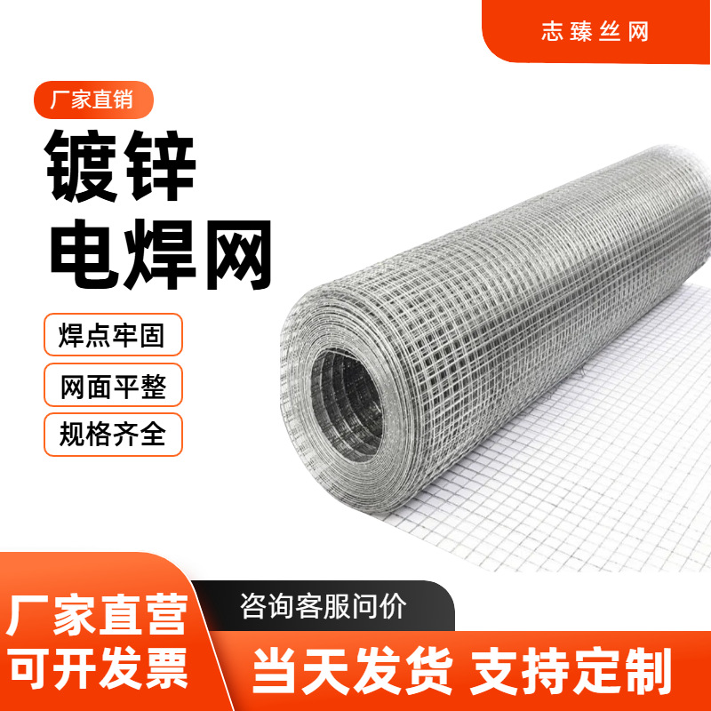 镀锌电焊网钢丝网低碳铁丝防护网养殖围栏抹墙网批荡可定制