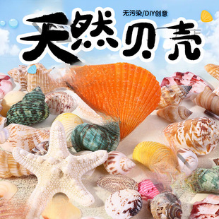 ��Ȼؐ�����ֹ�diy�׃��@�h������߶Y���~���쾰�b��ϰ�����