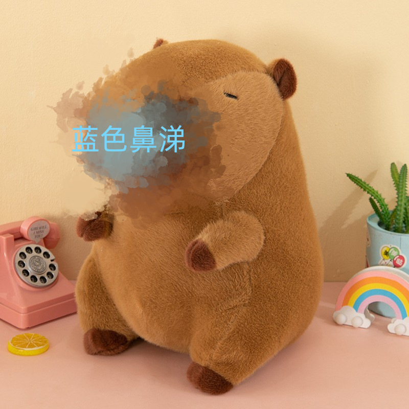 Snot은 돈을 인출 할 수 있습니다 [가게 주인 추천 뜨거운 판매 돈]]