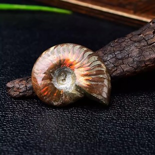 ��Ȼ���ݰ߲��ݹ����ﻯʯ���ս̌W�����ݔ[���Vʯ�˱���ʯ���l