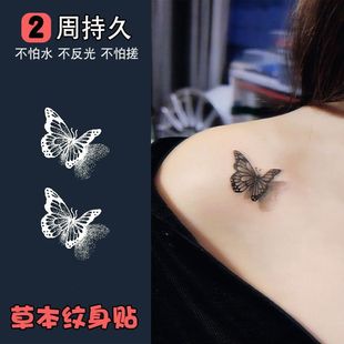 �Ը�3D�����ݱ���֭�y���N ����������ñ������i��