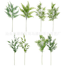 �¿����Gֲ�Gɫ��zާ�~һ�w���~ �҃�ɭϵ��Yܛ�b�bپGֲ