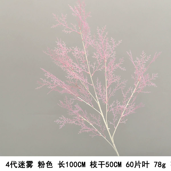 4 generations of fog pink