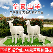 ɽģ̷۵bɽ[ˇƷɽģ