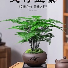 �������Բ����[��ˮ�����ӾGֲ���辰�����k���������쾰����