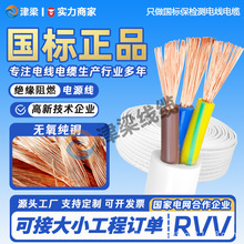 全球畅销RVV白护套2/3芯6平方电线国标铜芯户外电缆线插座电源线