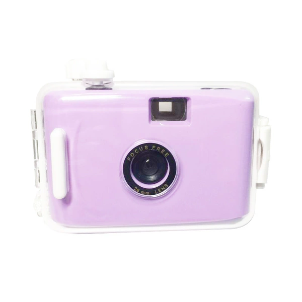 Purple white shell