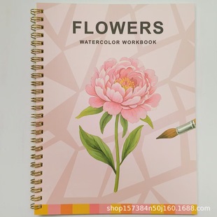 ���R�d��Ʒ WATERCOLOR WORKBOOK ˮ�ʌ�����ɫ�� ˮ�ʾ����ԬF؛
