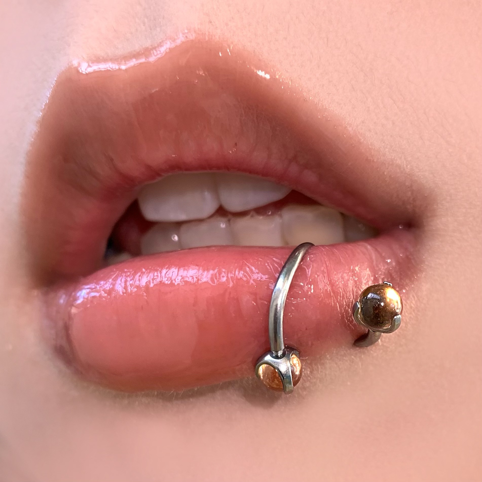 Champ Gold S-Shaped Lip Ring 12mm Internal Thread Steel Titanium Lip Hoop for Hot Girl Piercing Jewelry Wholesale detail image 9