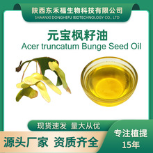 元宝枫籽油神经酸5%NervonicAcid新资源食品 神经酸微囊粉 鲨油酸