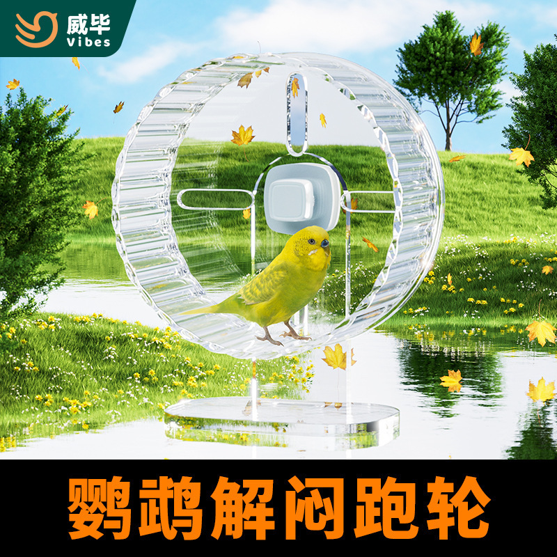 Parrot running wheel toy to relieve boredom self-hi decompression puzzle balance car xuanfeng peony tiger skin small sun bird supplies