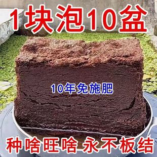 High foam coconut brick soil nutrient soil flower compression universal coconut brick soil flower soil vegetable organic desalination coconut husk