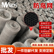 果树保护防鸟网菜地养殖大棚防护网铁路驱鸟网厂家小网孔不锈钢网