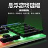 Emperor Leopard GMK-20 Wired Lighting Game Keyboard Mouse Set Robby Sensors Suspension Key Caps Cross-border Spot