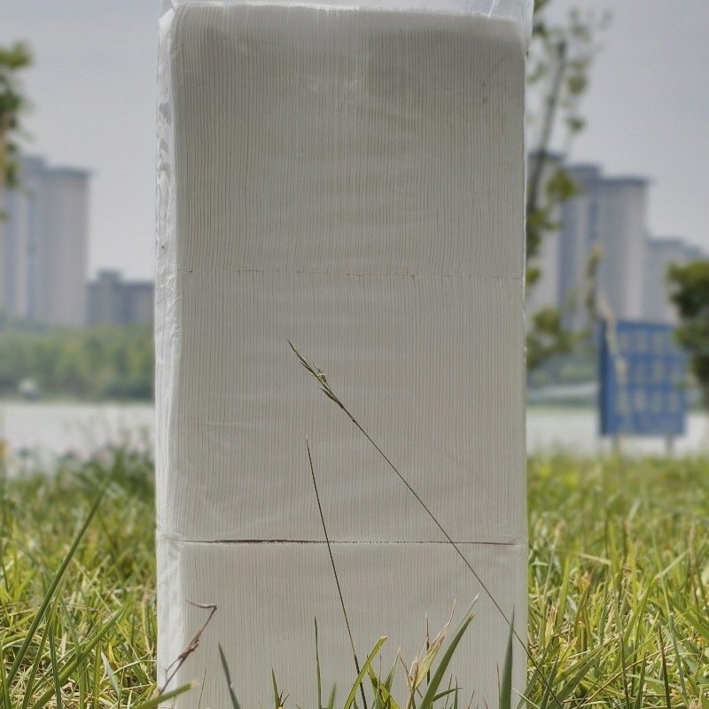 IMG_20250603_095907_副本