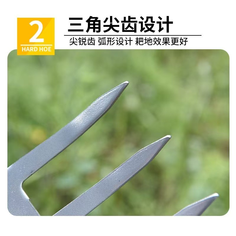 微信图片_202504251015211.jpg