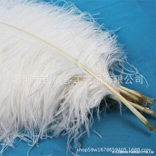 �S�ҹ���65-70cm��Ȼ�r�B��ë �廨�Ƶꙻ����c�����b��r�Bë