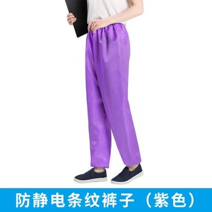 Anti-Static Purple Stripesd 5mm Pants Anti-Dust Dust-Free Clean Pants Digital Factory Workshop Work Pants