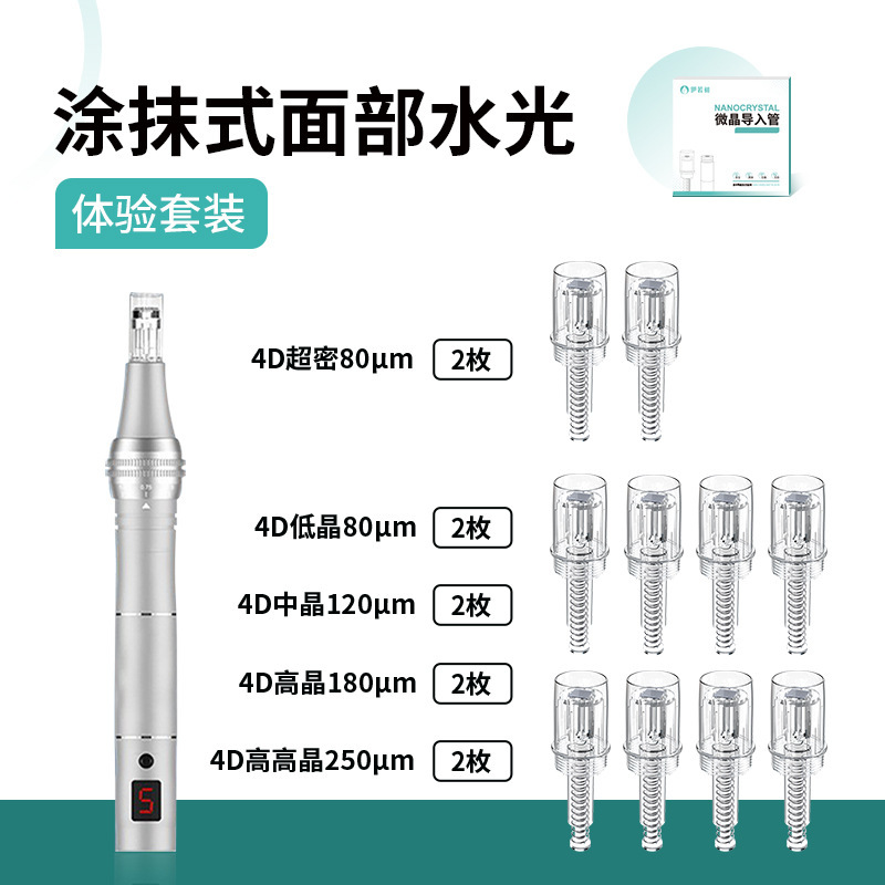 家庭用調整可能な非侵襲水光美容器浅い導電性ナノ中胚葉理学療法電気マイクロニードル微結晶導入装置|undefined