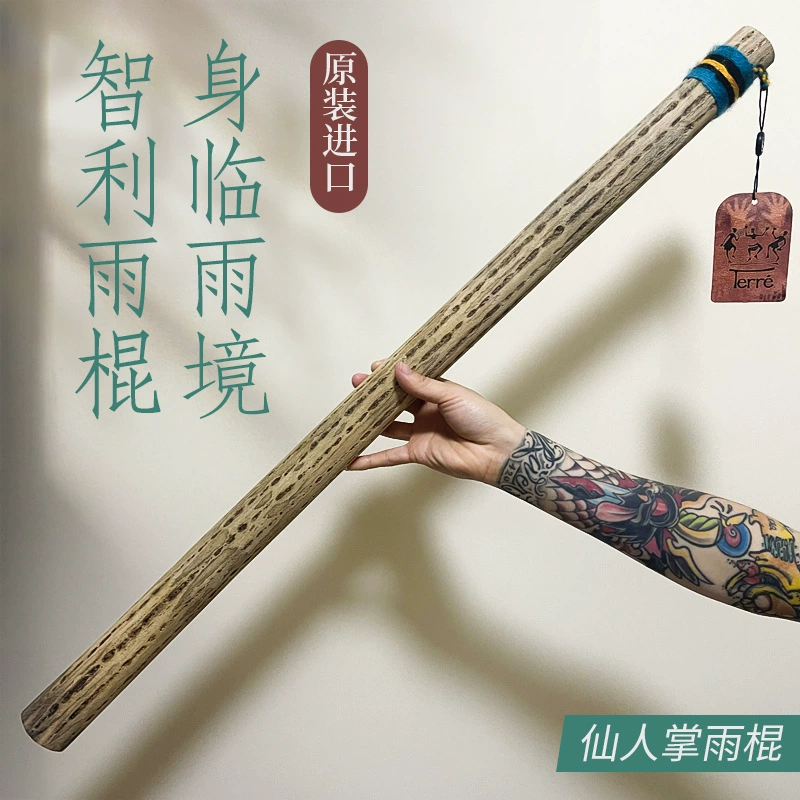 Дождевая палочка кактус дождевая палочка De Ruinan Южная Америка Чилийская волна имитация звукотерапевтический инструмент дождевой звуковой прибор дождевая звуковая трубка