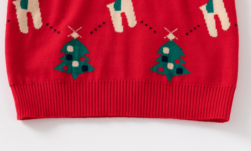 Vêtements pour enfants garçons fil de coton double couche 2024 automne hiver nouveau style pull de Noël pour petits et grands_voghion.com