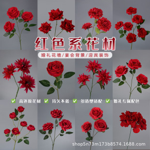 �tɫϵ��cϵ�з��滨�Ļ�Y���̈������b���·���廨��ˇ�ٻ�