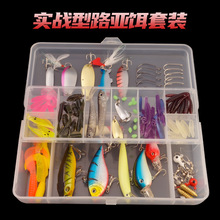 ̫��·���D���b�~�D��Ƭ100���׾�βTβvib���D���Z�M���~�D���l