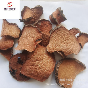 ����܎�á��Sș��500g��؛��������ă������Ĕz��ș�����l�Sș��