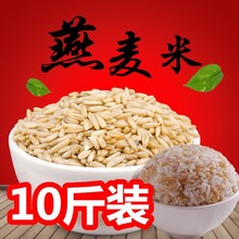 新货生燕麦米农家自产五谷杂粮裸燕麦仁粒野麦雀麦散装内蒙古散装