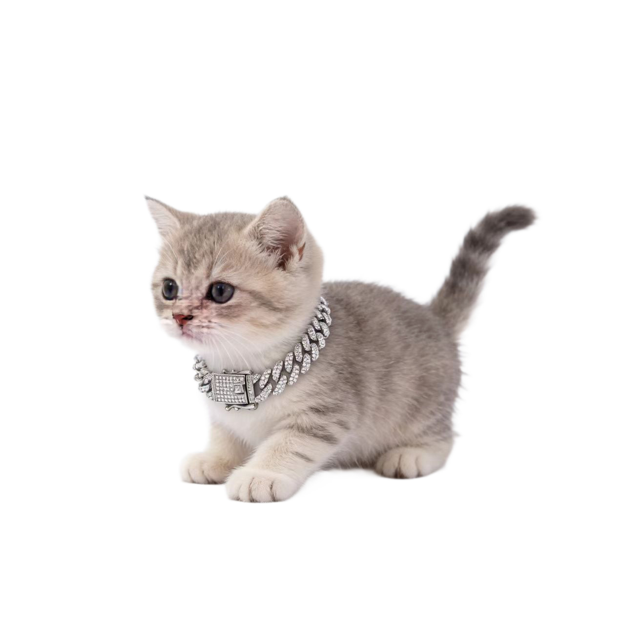 Europa y los Estados Unidos Hip-Hop accesorios cadena de diamantes cubana moda accesorios de mascotas universales al por mayor Amazon exclusiva