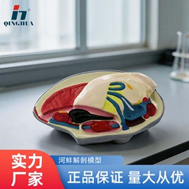 数理教学器材;教学演示用品;生物教学器材