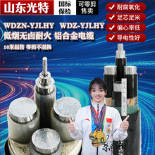 WDZN-YJLHY˵͟ouͻXϽ|4о5о70 95 120ƽ150