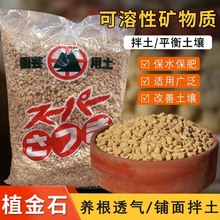 �ձ��M��ֲ��ʯ�m������ֲ���m��ʯ�_Ħʯ�����w���I�B�����18��