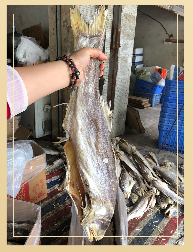整条马友鱼_07.jpg