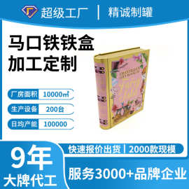 字典形状马口铁书盒 翻页式开合书本铁盒 多种型号金属异形书本盒