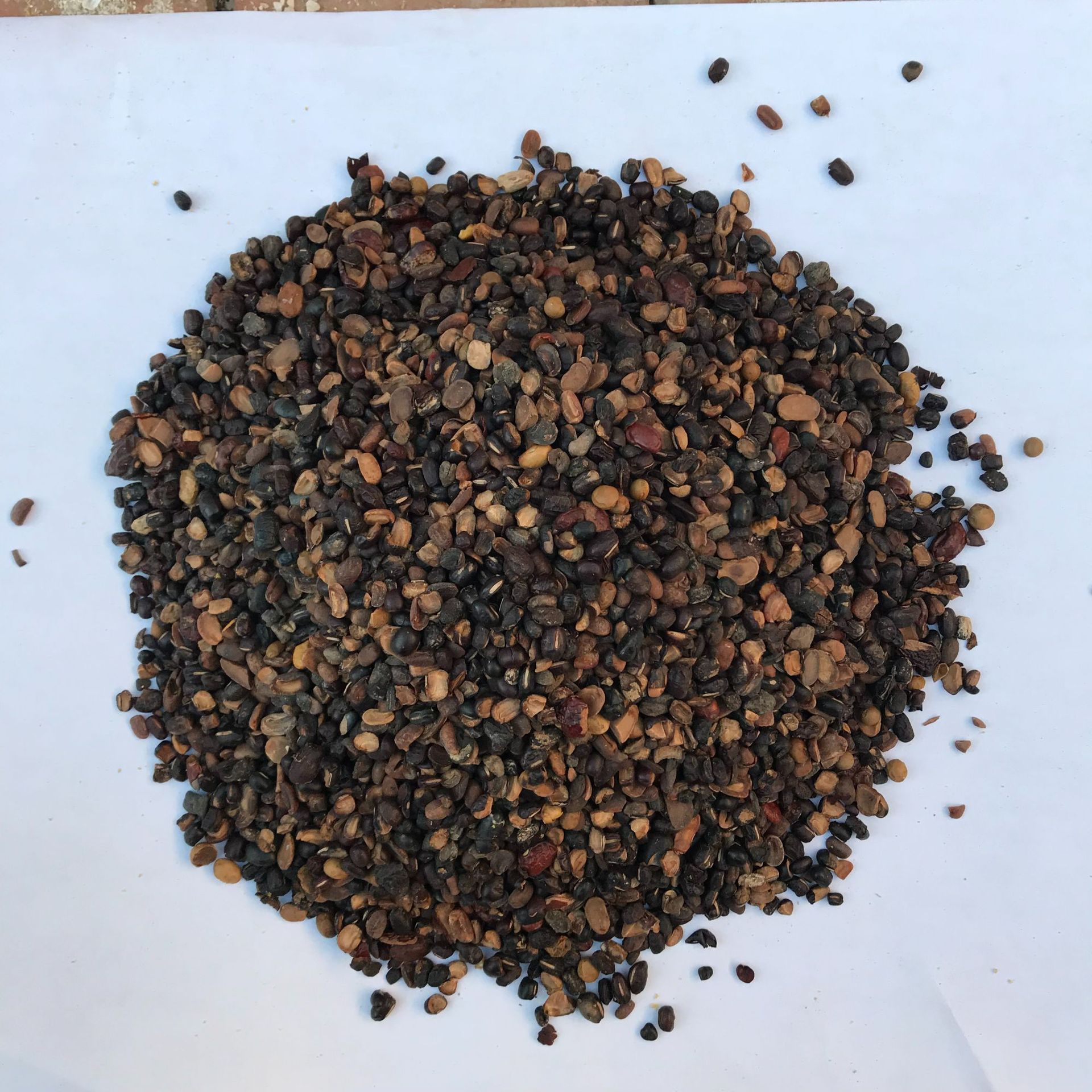 微信图片_20190306231020