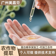 ��ӹ�������˹��S�ɽӆ��ڼ����a���M�ṩ���g�����Ŀ��������