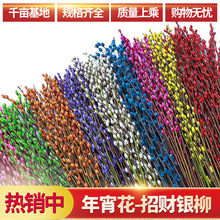 花卉银柳鲜枝年宵室内干花红色银柳干花真花水培植物装胜宅博客厅
