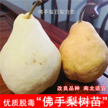 ��������O���������޽��� ������ �ϱ����Nֲ���Ե��Ԯ���Y��