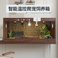 鬃狮蜥蜴饲养箱爬虫盒温控玻璃缸苏卡达黄缘保温箱爬宠箱