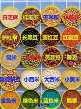 DIY��������s�Z�N�Ӷ���ճ�N���׃��@�ֹ��n������ϰ�����