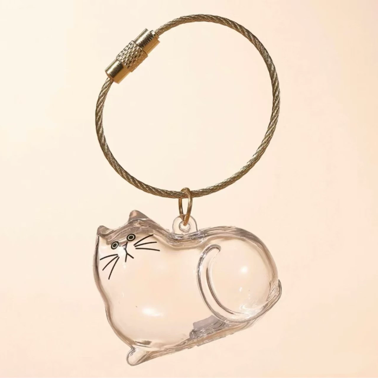 Transparent storage box, commemorative capsule, keychain