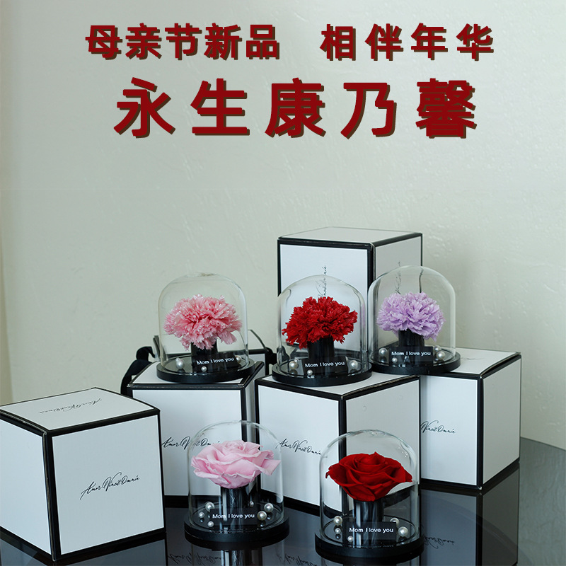 Regalo del Día de la Madre, cúpula de cristal con clavel, rosa del Principito, flor seca, regalo de cumpleaños, adorno, flor real, flor eterna