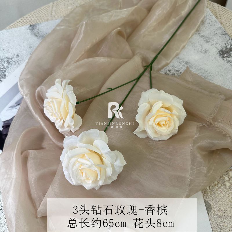 일반 다이아몬드 로즈 샴페인