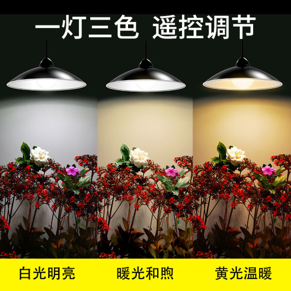 Travel waterproof super bright lights solar-powered for gazebo