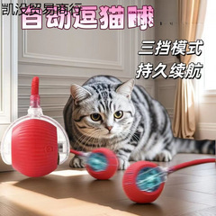 面白い猫と犬のボール、退屈を和らげる猫のおもちゃ、ヨーヨー、子猫用アクセサリー、充電式