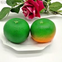 ����ˮ���ٳ��ӽ���ģ���������ӔzӰչʾ�Ҿ��b���@ˇ�Ļ��k