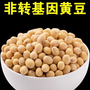 ���������S�����D�����S�����S�����S���򶹝{���ö��r���ԷN����