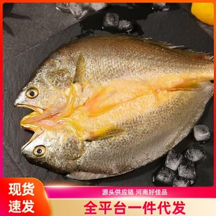 �S�~�����r������S���~�_���r����~�⚢��������r�����ؼ����r